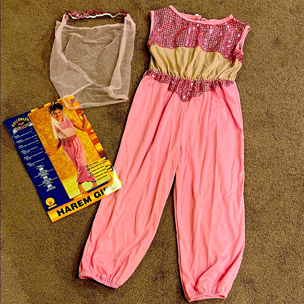 Pink Harem girl/genie costume VGUC size medium from Rubies Halloween Concepts.